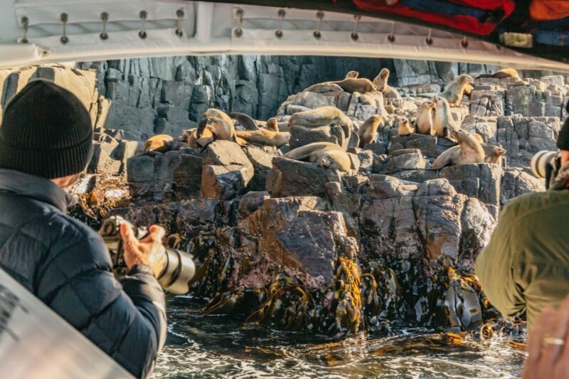From Hobart/Adventure Bay: Bruny Island Wilderness Cruise - Key Points