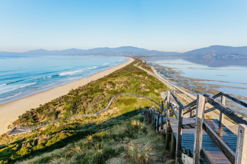 From Hobart/Adventure Bay: Bruny Island Wilderness Cruise - Who Is This Tour Best For?