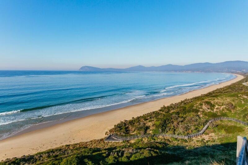 From Hobart/Adventure Bay: Bruny Island Wilderness Cruise - The Sum Up