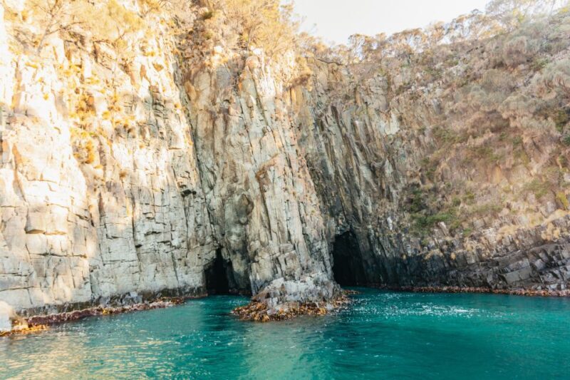 From Hobart/Adventure Bay: Bruny Island Wilderness Cruise - FAQ