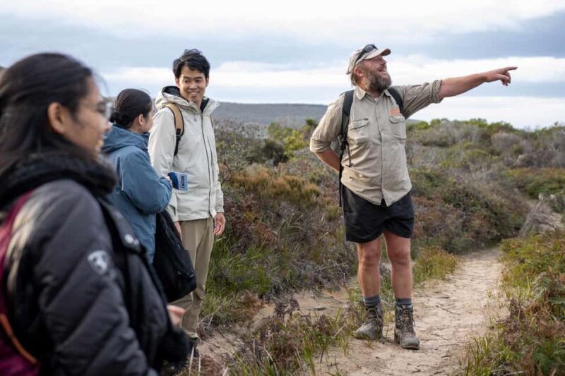 From Hobart: Bruny Island Nature & Produce Adventure Tour - Transport, Group Size, and Overall Value