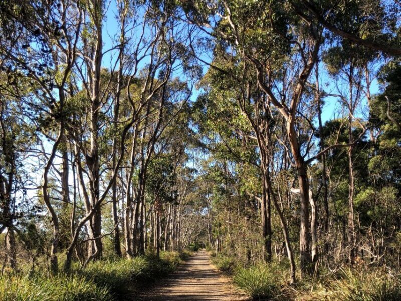 From Hobart: Bruny Island Nature & Produce Adventure Tour - The Experience in Context