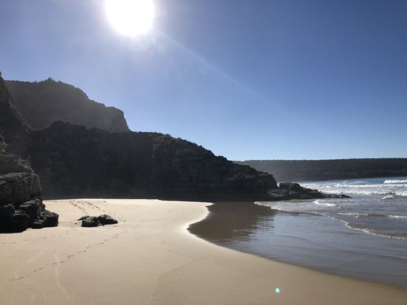 From Hobart: Bruny Island Nature & Produce Adventure Tour - The Sum Up