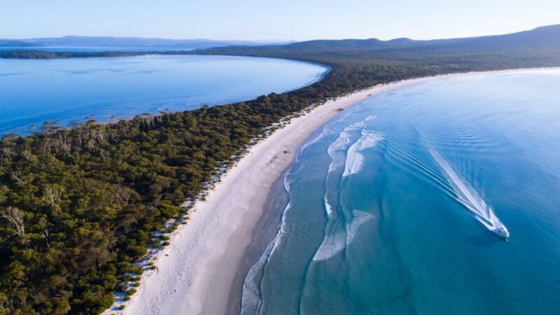 From Hobart: Day Tour to Maria Island with Bus Connection - To sum it up, this tour is ideal for travelers who prioritize comfort, scenery, and expert storytelling. If youre craving a well-rounded, memorable day on Maria Island, it’s hard to find a better option that combines ease and excitement. Whether youre a wildlife enthusiast, history lover, or just looking for a scenic escape, this trip offers genuine value and a chance to connect with Tasmania’s natural side.