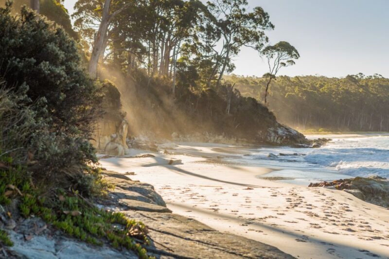 From Hobart: Full-Day Bruny Island Tour with Guide - The Experience in Detail