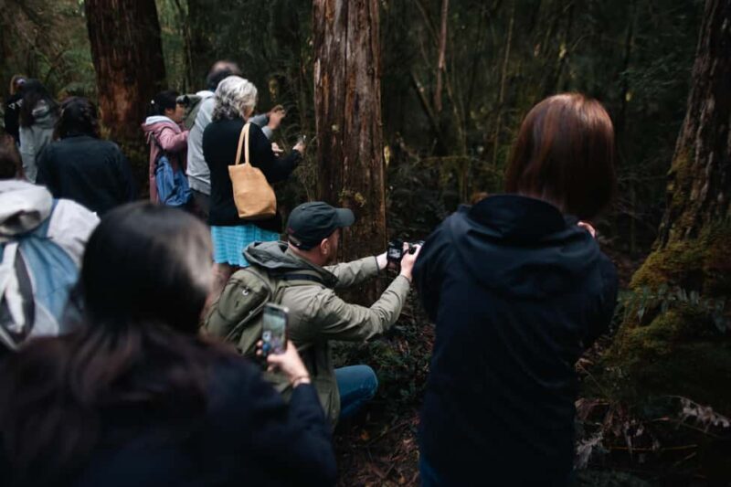 From Hobart: Full-Day Bruny Island Tour with Guide - Who Is This Tour Best For?