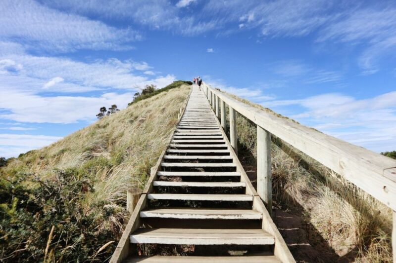 From Hobart: Full-Day Bruny Island Tour with Guide - Final Thoughts