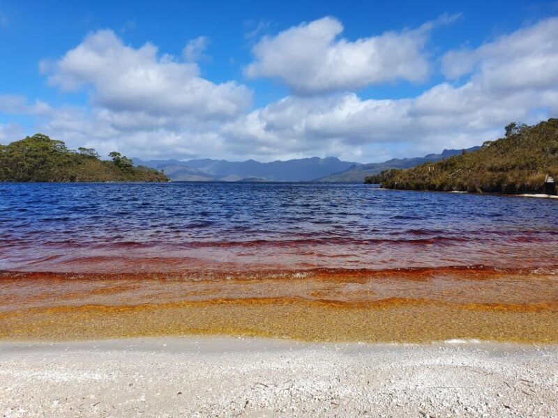 From Hobart: Gordon Dam and Lake Pedder Wilderness Day Tour - The Iconic Gordon Dam