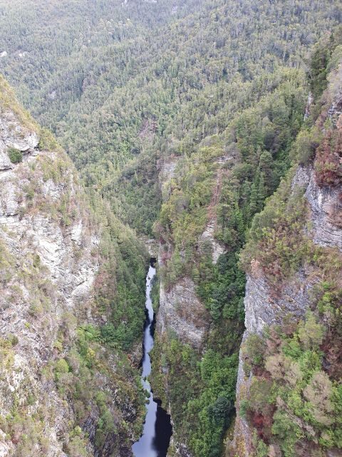 From Hobart: Gordon Dam and Lake Pedder Wilderness Day Tour - Final Thoughts