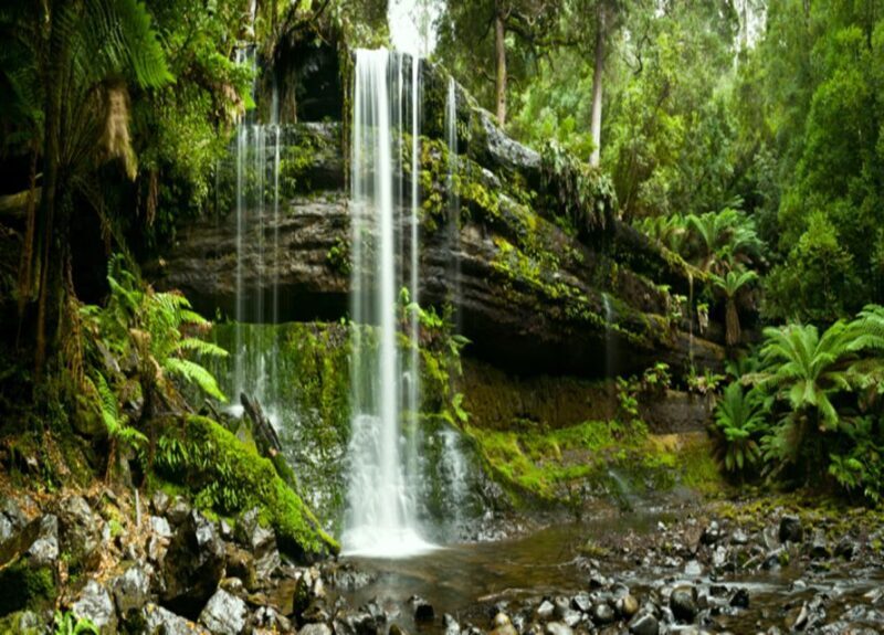 From Hobart: Mt. Field National Park and Russell Falls - Final Thoughts