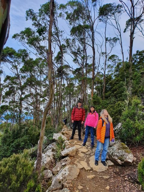 From Hobart: Mt Wellington Morning Walking Tour - From Hobart: Mt Wellington Morning Walking Tour  