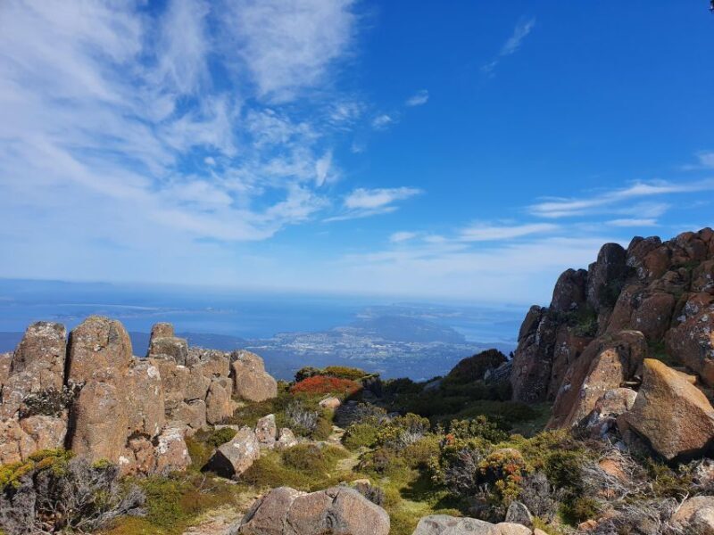From Hobart: Mt Wellington Morning Walking Tour - Who Will Love This Tour?  
