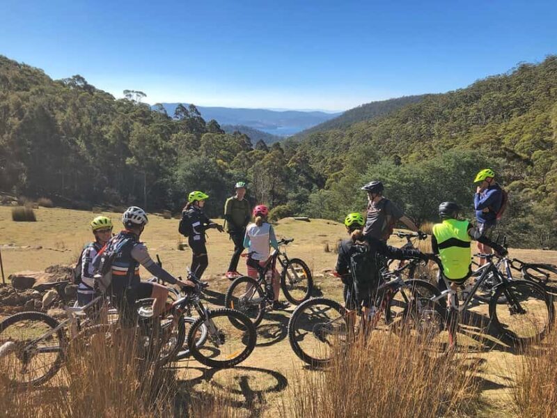 From Hobart: Mt Wellington Summit & Rainforest Bike Tour - Key Points