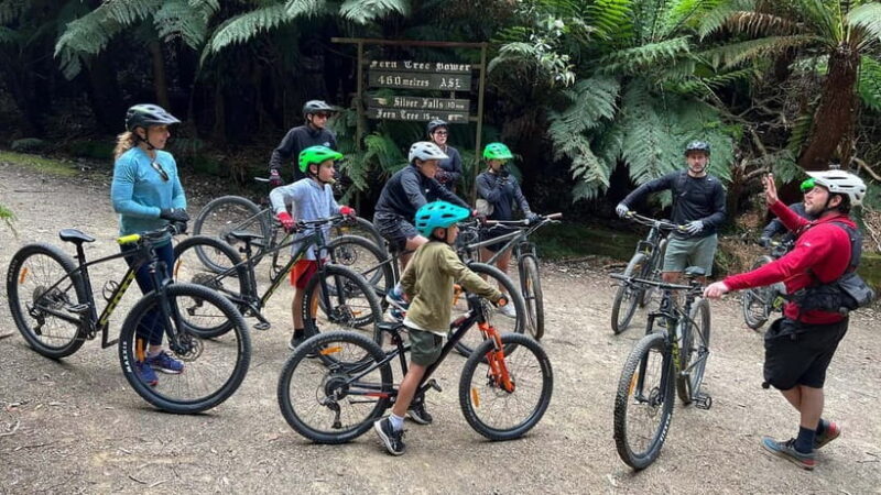 From Hobart: Mt Wellington Summit & Rainforest Bike Tour - Why You Should Consider This Tour