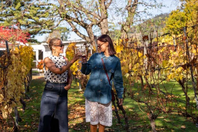 From Hobart: Tasmanian Wine Tour - Key Points