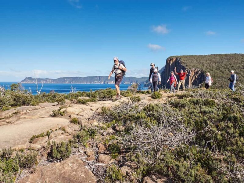 From Hobart: Three Capes Walking Tour - 4 Days - The Cost: Is it Worth $1,976?