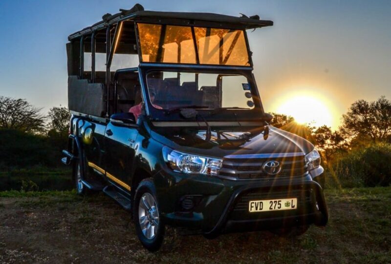 From Hoedspruit: Kruger National Park Full-Day Safari - Key Points