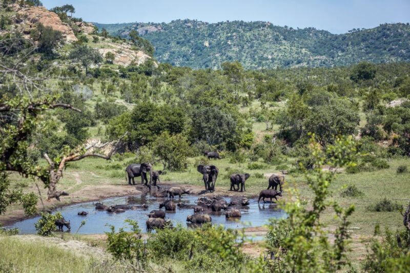 From Hoedspruit: Kruger National Park Full-Day Safari - FAQ