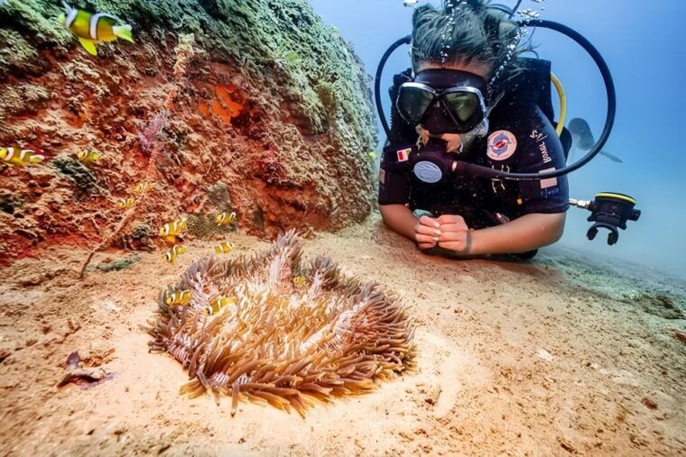 from-hoi-an-da-nang-swimming-snorkeling-in-cham-islands