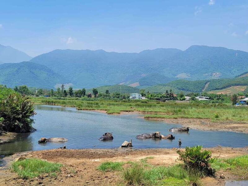 from-hoi-an-hai-van-pass-loop-tour-by-easyrider