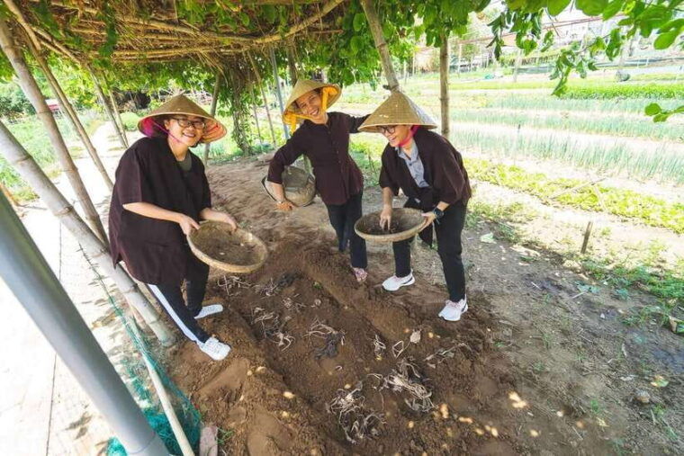 from-hoi-an-tra-que-vegetable-village-cooking-class