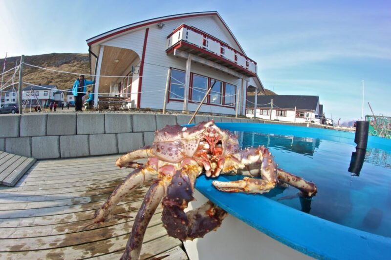 from-honningsvag-vip-north-cape-and-kingcrab-tour