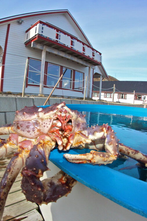 from-honningsvag-vip-north-cape-and-kingcrab-tour