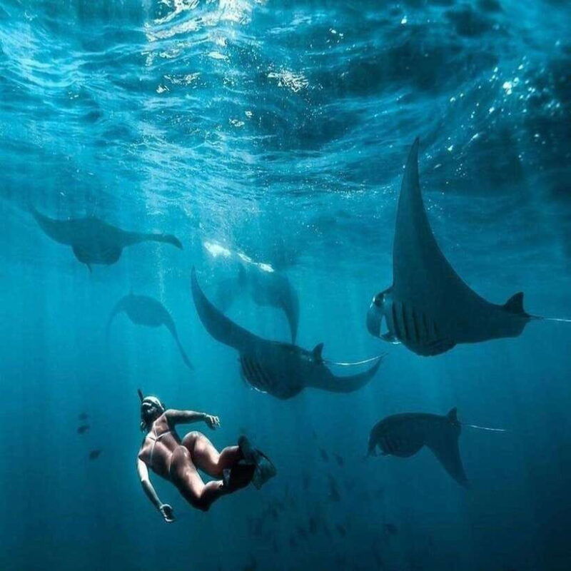 from-hotel-to-nusa-penida-full-day-tours