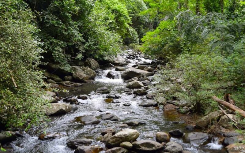 From Hua Hin: Pala U Waterfall and Huay Mongkol Temple Tour - Is This Tour Right for You?