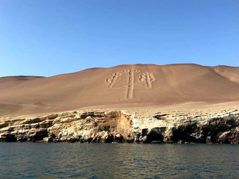 from-huacachina-ballestas-and-paracas-reserve-group-tour