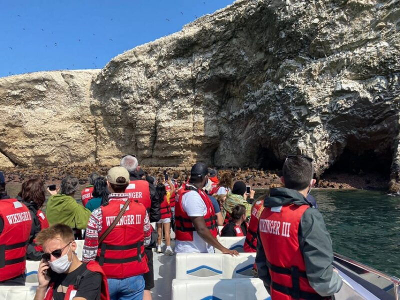 from-huacachina-ballestas-and-paracas-reserve-group-tour