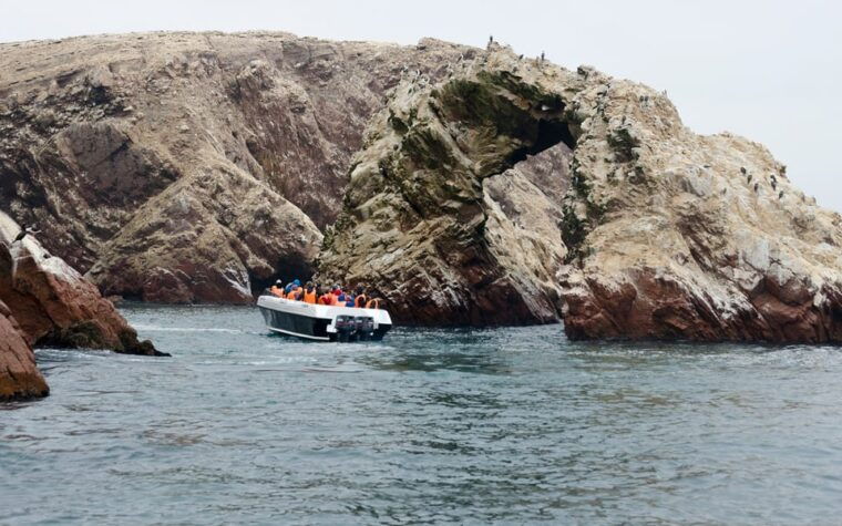 from-huacachina-ballestas-and-paracas-reserve-group-tour