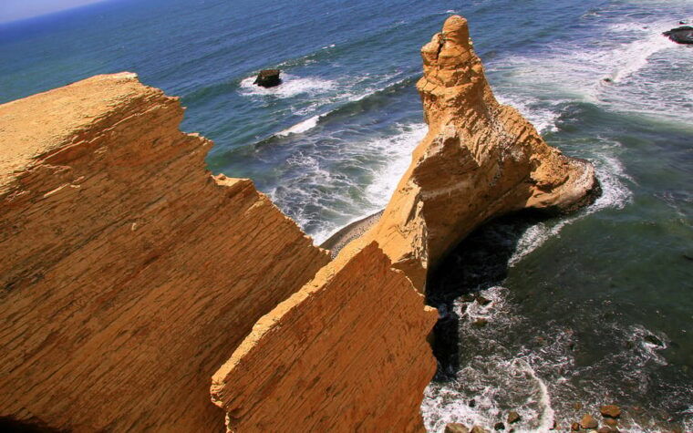 from-huacachina-ballestas-and-paracas-reserve-group-tour