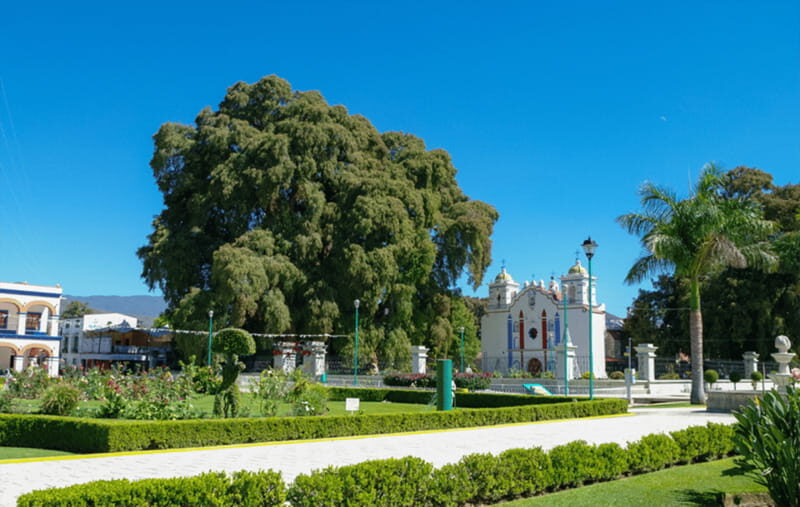 From Huatulco: 2 Days Excursion to Oaxaca City - Authentic Experiences and Local Insights