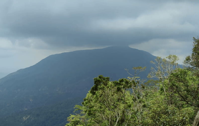 From Huatulco: Coffee and Mezcal Tour - From Huatulco: Coffee and Mezcal Tour – An Authentic Taste of Oaxaca