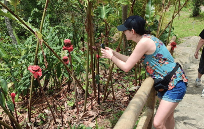 From Huatulco: Coffee and Mezcal Tour - Key Points