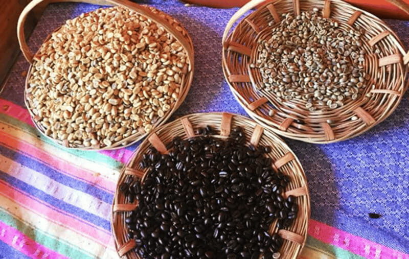 From Huatulco: Coffee and Mezcal Tour - Who Will Enjoy This Tour?