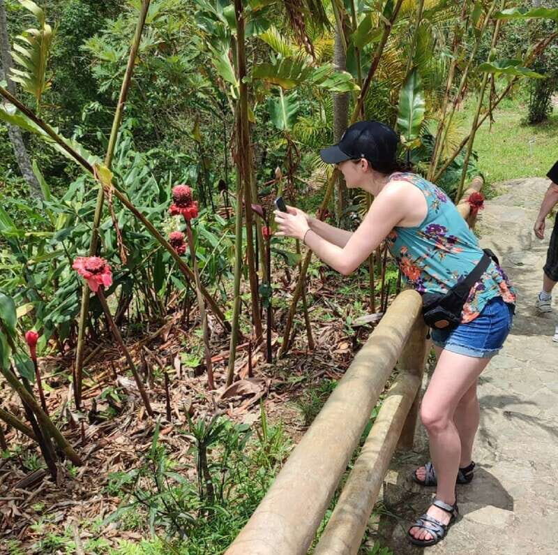 From Huatulco: Coffee Private Experience - Key Points