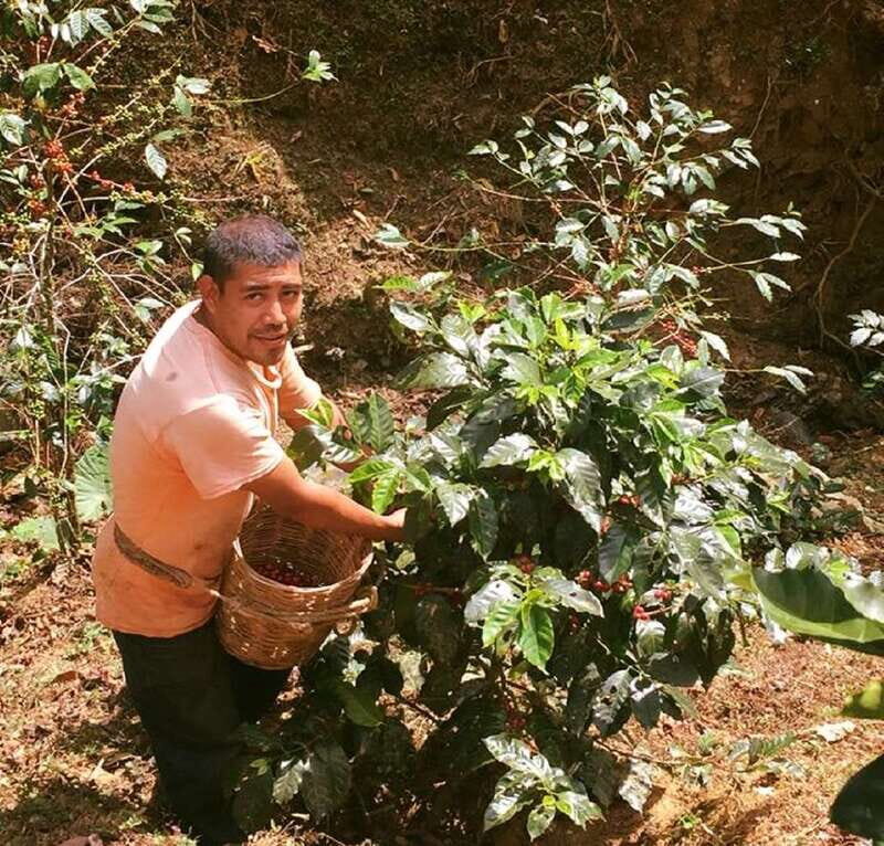 From Huatulco: Coffee Private Experience - Practical Details & Value