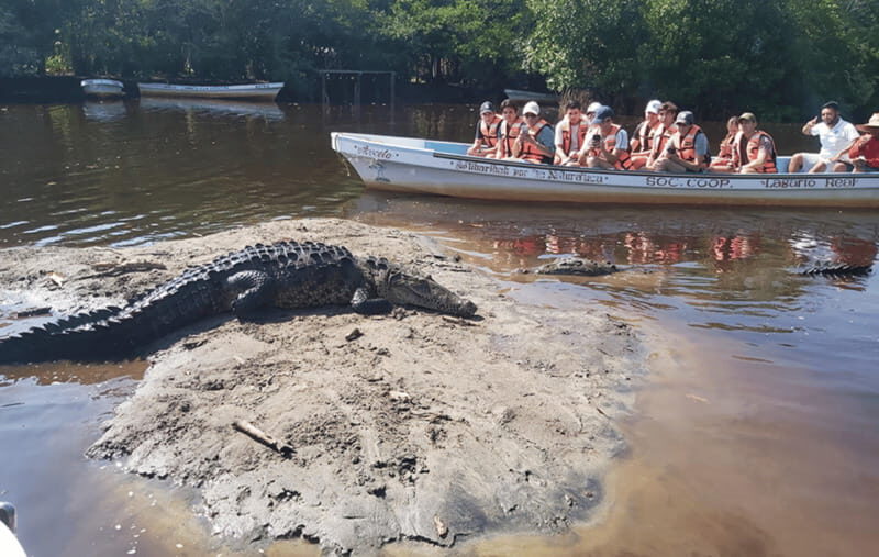 From Huatulco: Crocodiles and Turtles Eco Tour - Final Words