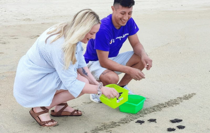 From Huatulco:Turtle Release and Bioluminescence Tour - What the Tour Entails: An In-Depth Look