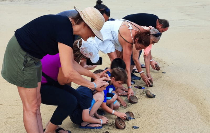 From Huatulco:Turtle Release and Bioluminescence Tour - The Sum Up: Is It Worth It?