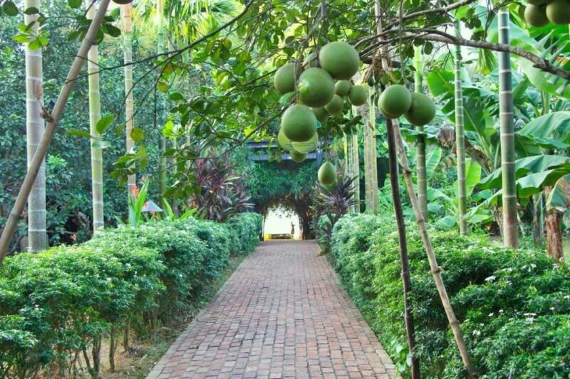 from-hue-1-day-cooking-class-in-thuy-bieu-village