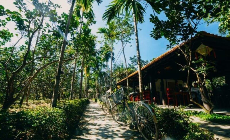 from-hue-1-day-cooking-class-in-thuy-bieu-village