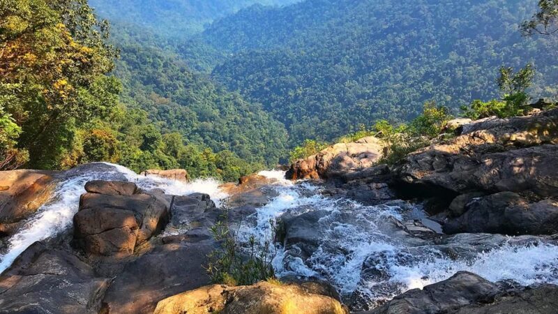 From Hue : Bach Ma National Park Hiking Day Adventure - An In-Depth Look at the Tour Experience