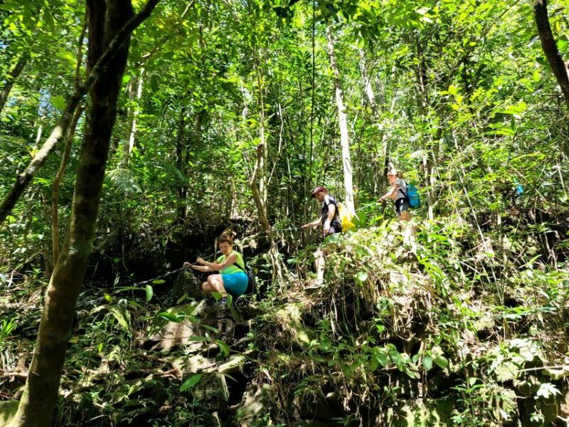from-hue-bach-ma-national-park-hiking-day-trip-with-pickup