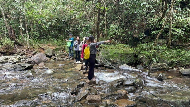 From Hue : Bach Ma National Park Luxury Trekking Tour - Authentic Insights from Reviews