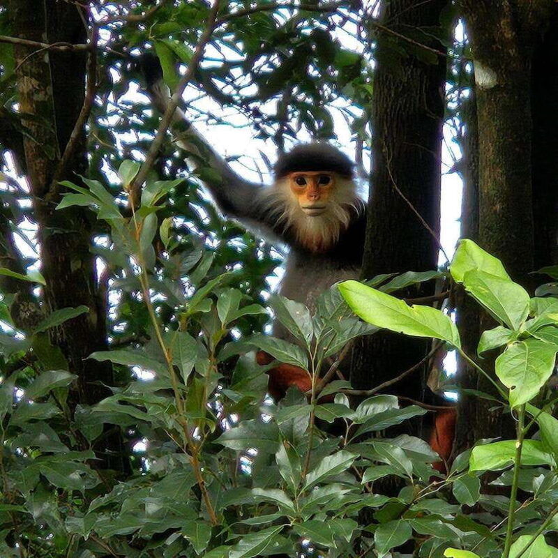 from-hue-bach-ma-national-park-luxury-trekking-tour