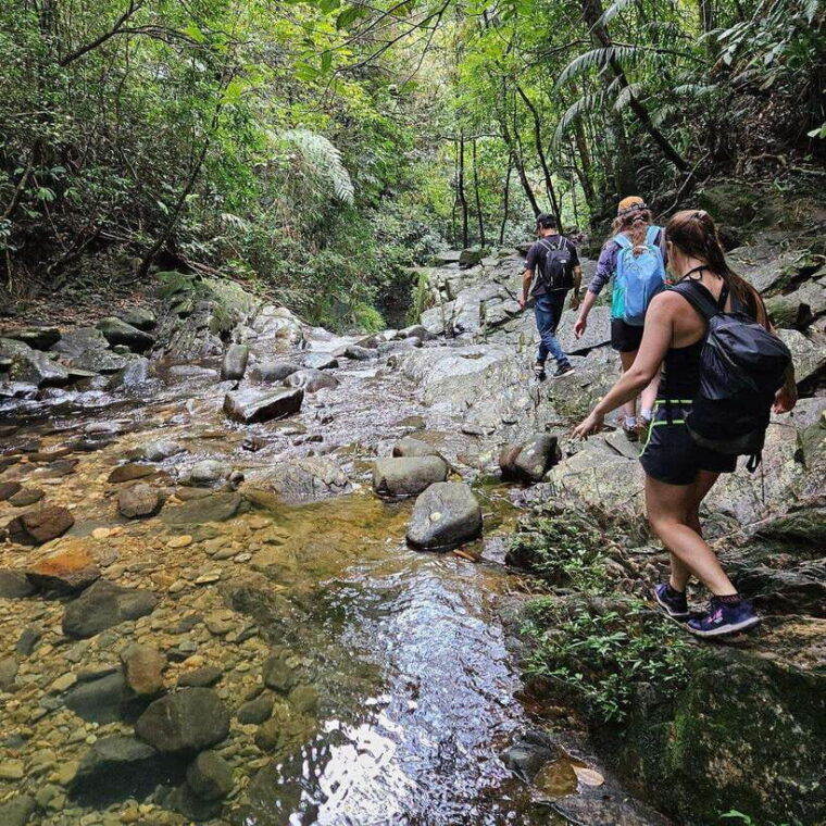 from-hue-bach-ma-national-park-luxury-trekking-tour