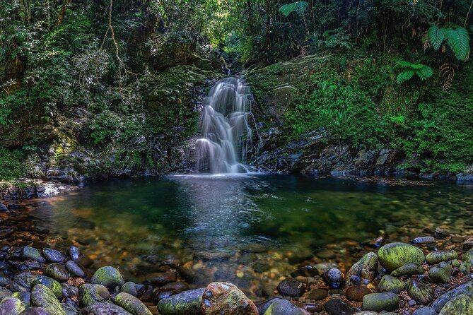 From Hue : Bach Ma National Park Trekking Adventure-Small Group - Introduction to the Tour Experience